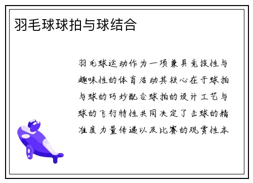 羽毛球球拍与球结合